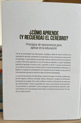 ¿Cómo aprende (y recuerda) el cerebro?