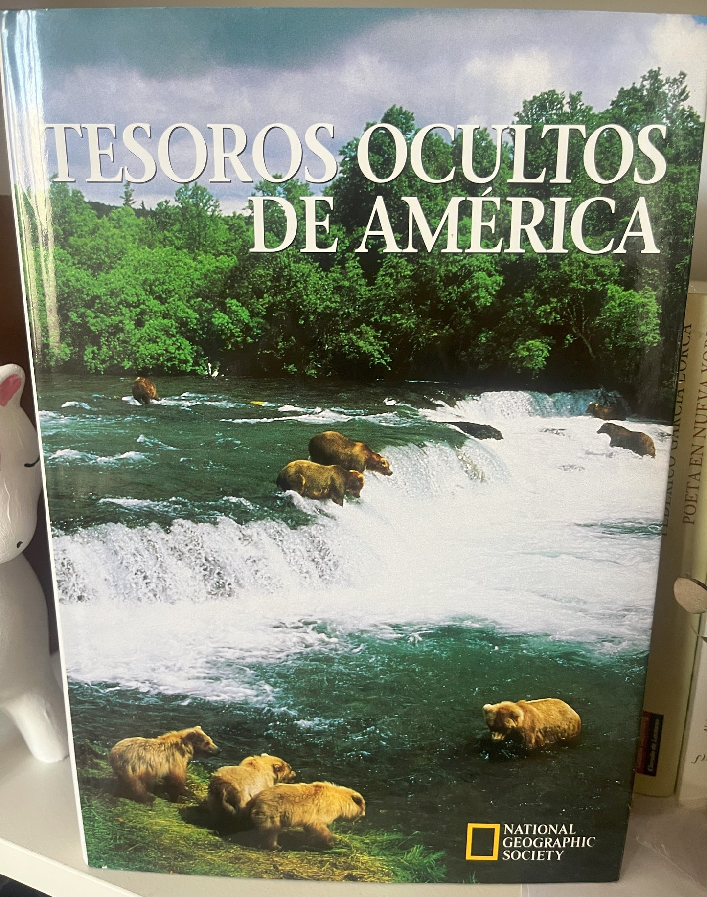 Tesoros Ocultos de América