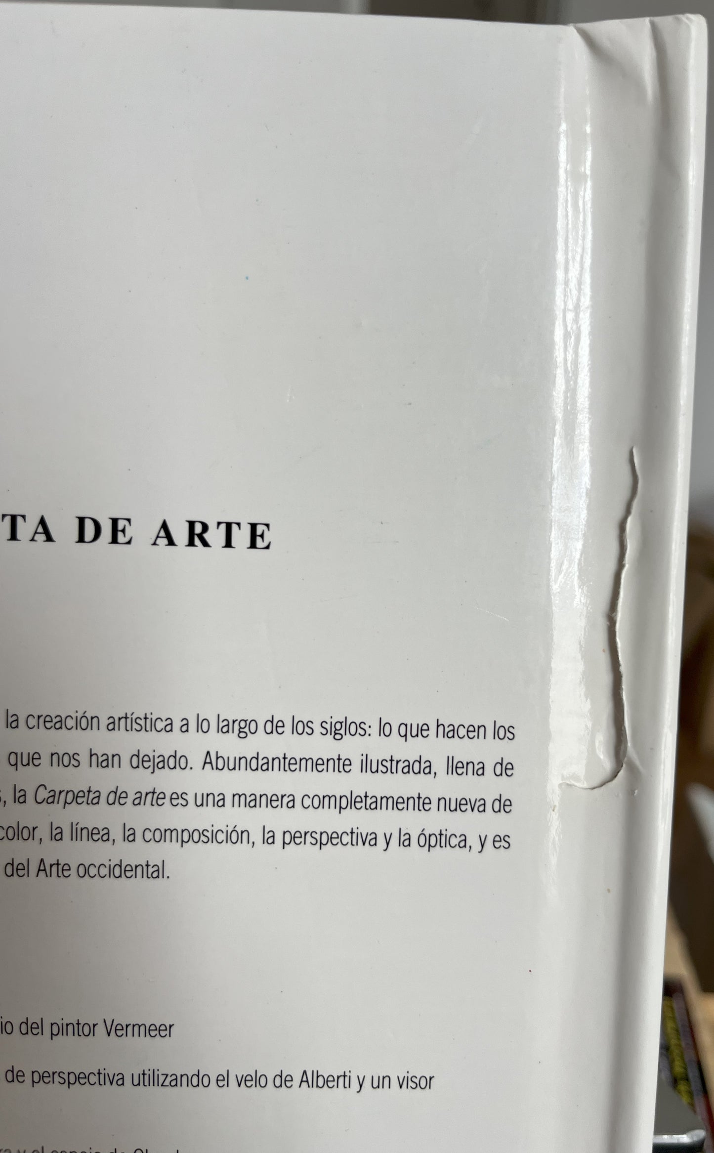 Carpeta de Arte