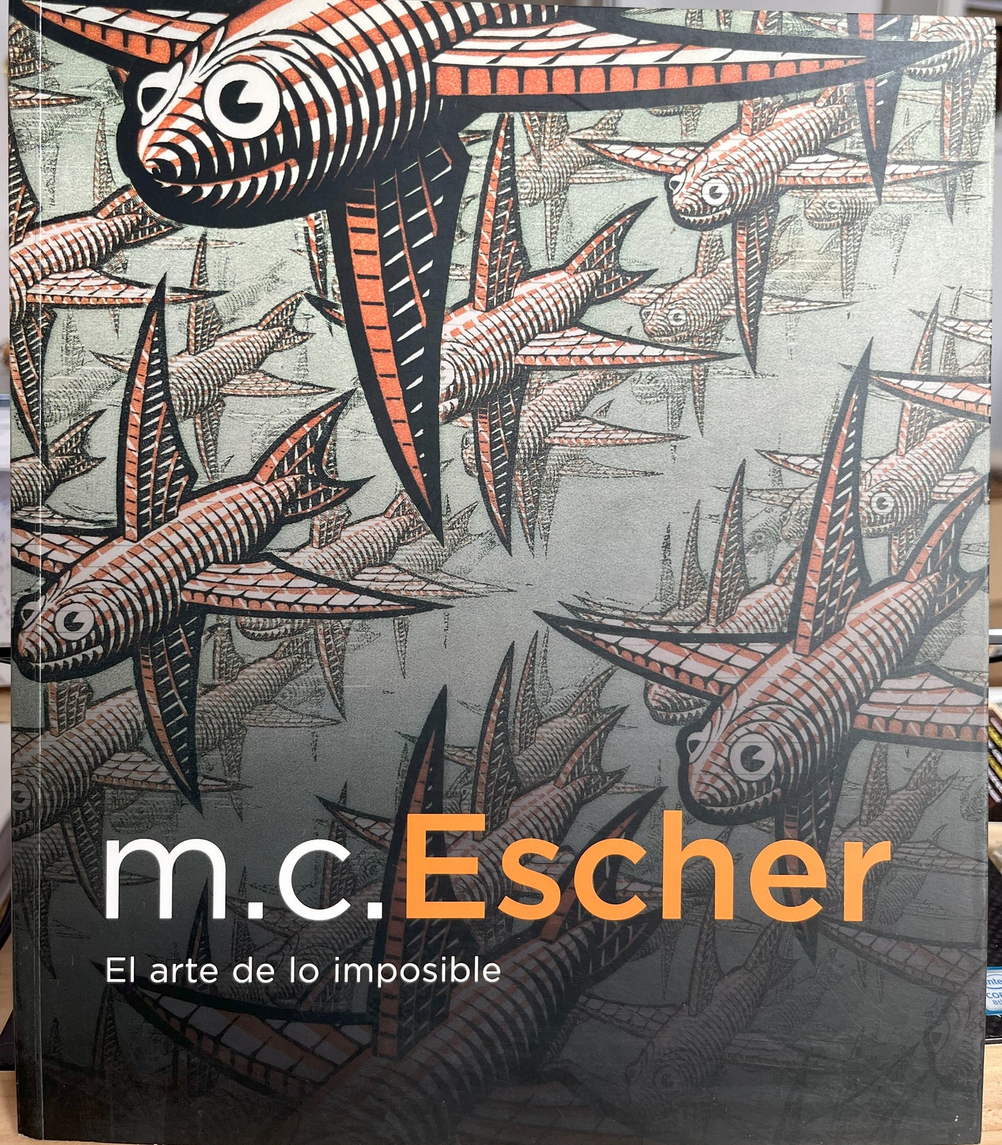 M. C. Escher, El arte de lo imposible