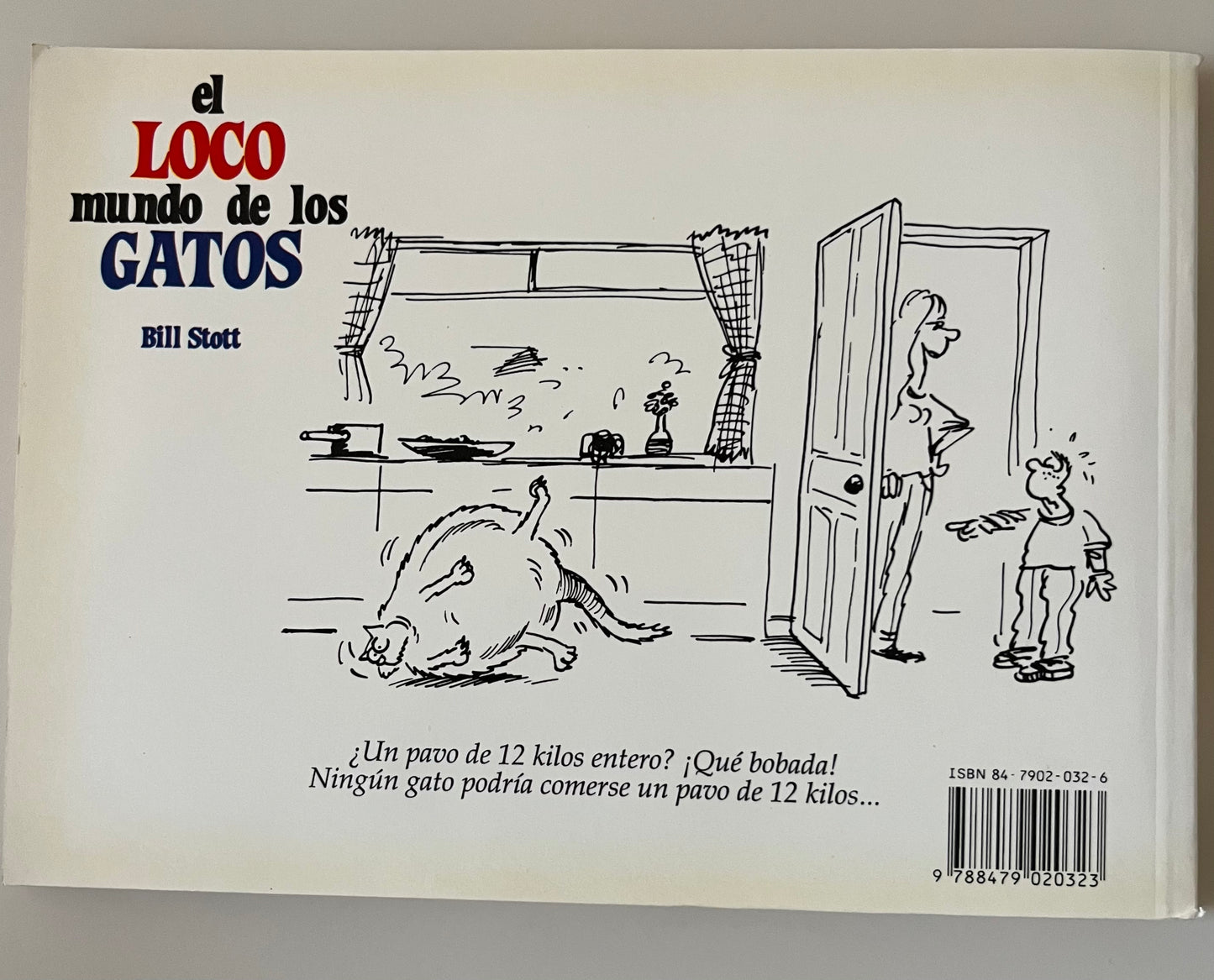 El Loco Mundo de Los Gatos