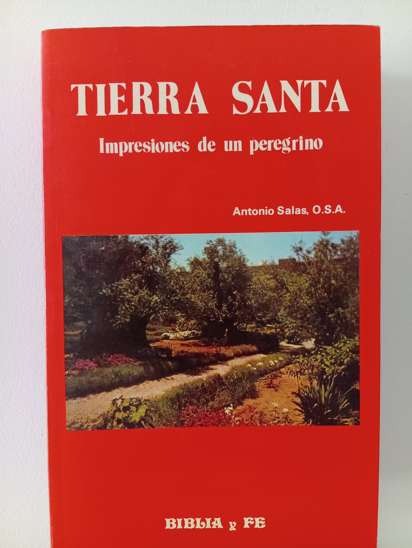 Tierra Santa. Impresiones de un peregrino