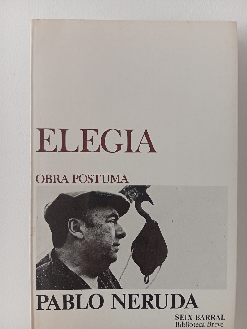 Elegía
