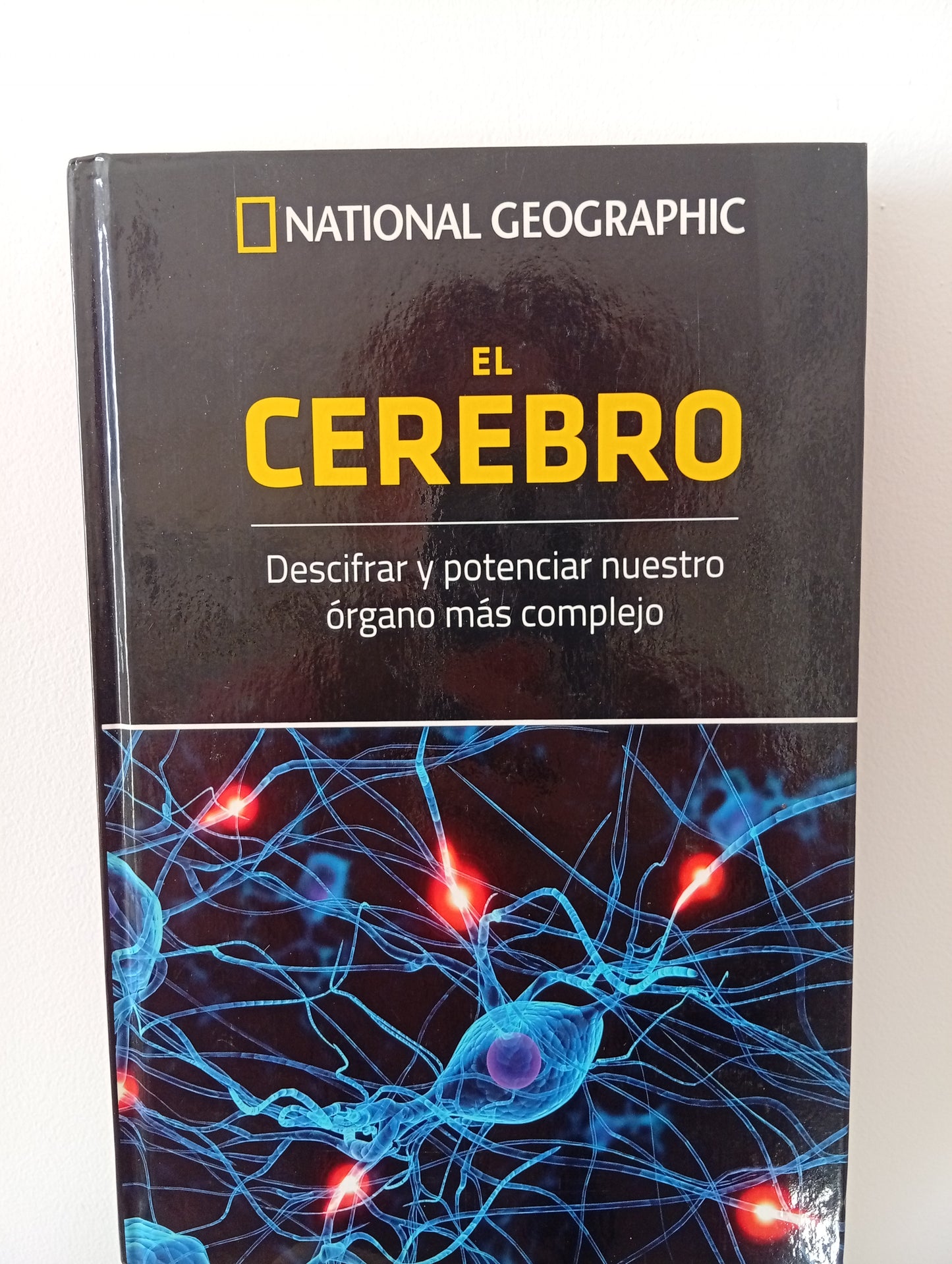 El cerebro