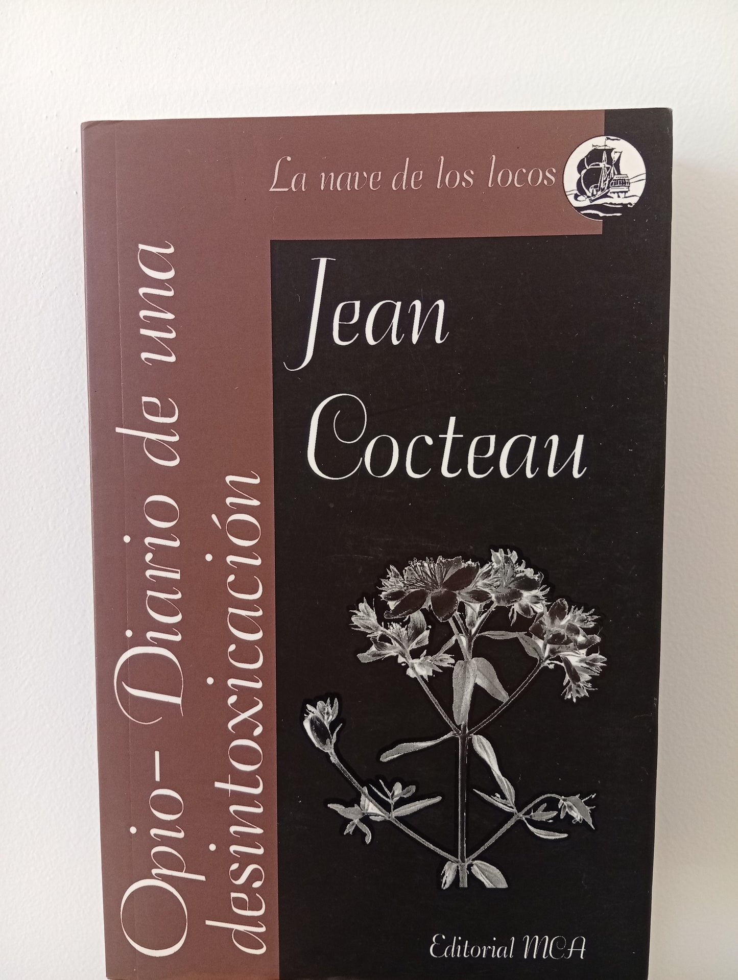 Opio-Diario de una desintoxicación