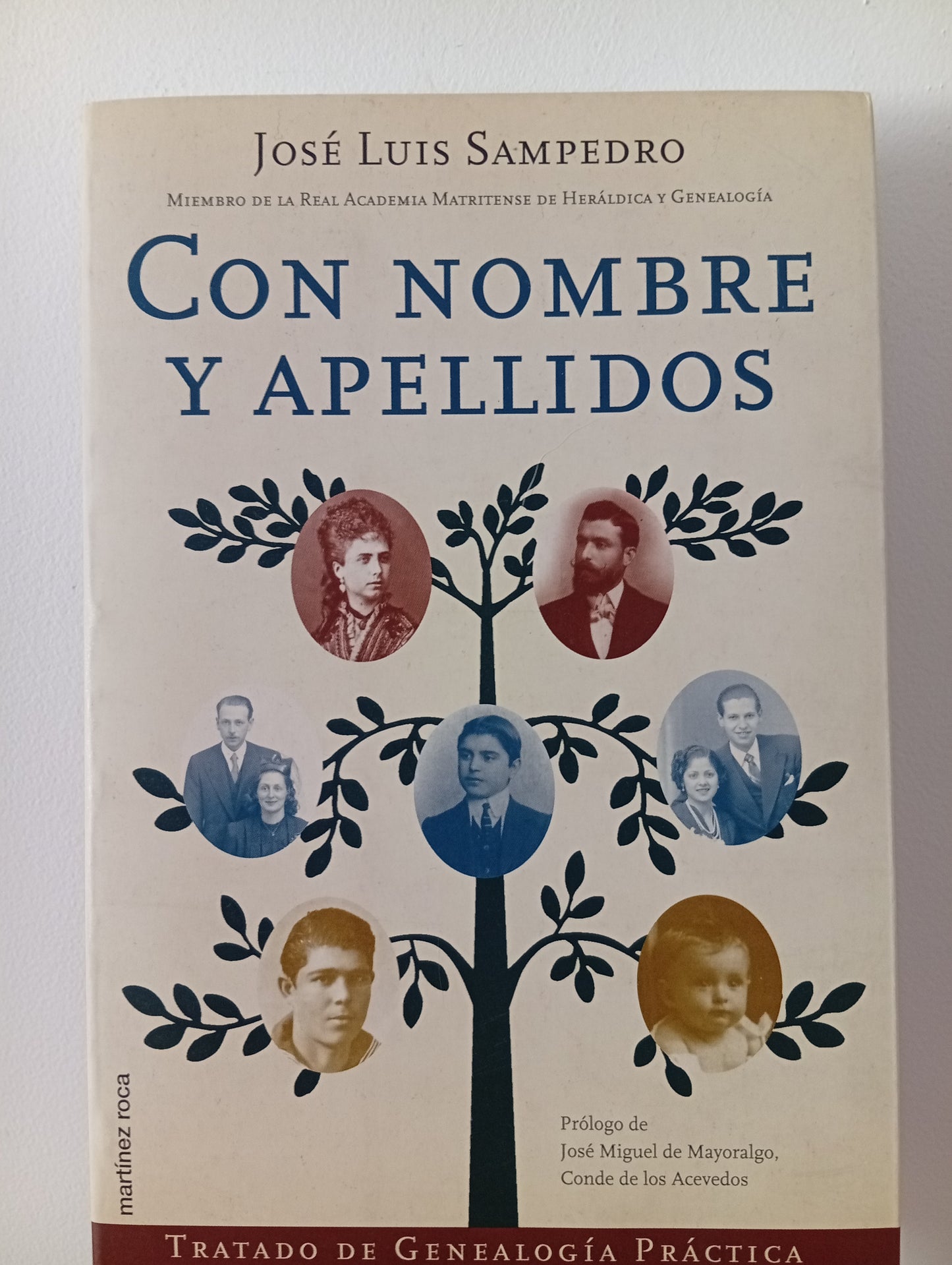 Con nombre y apellidos. Tratado de genealogía práctica