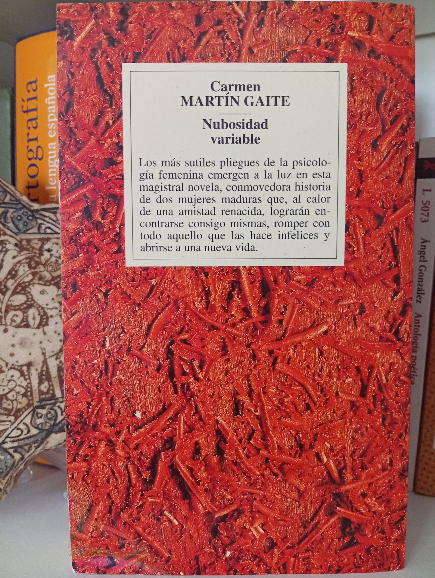 Nubosidad Variable