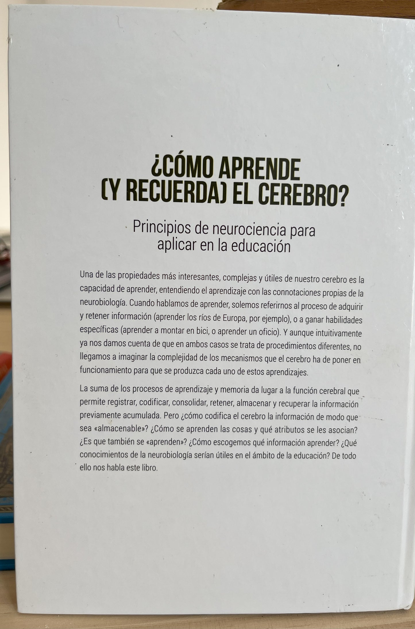 ¿Cómo aprende (y recuerda) el cerebro?