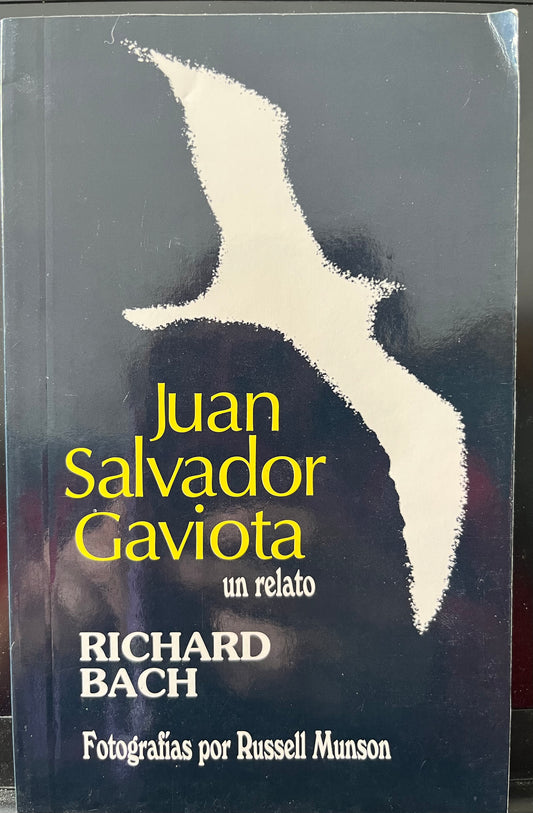 Juan Salvador Gaviota