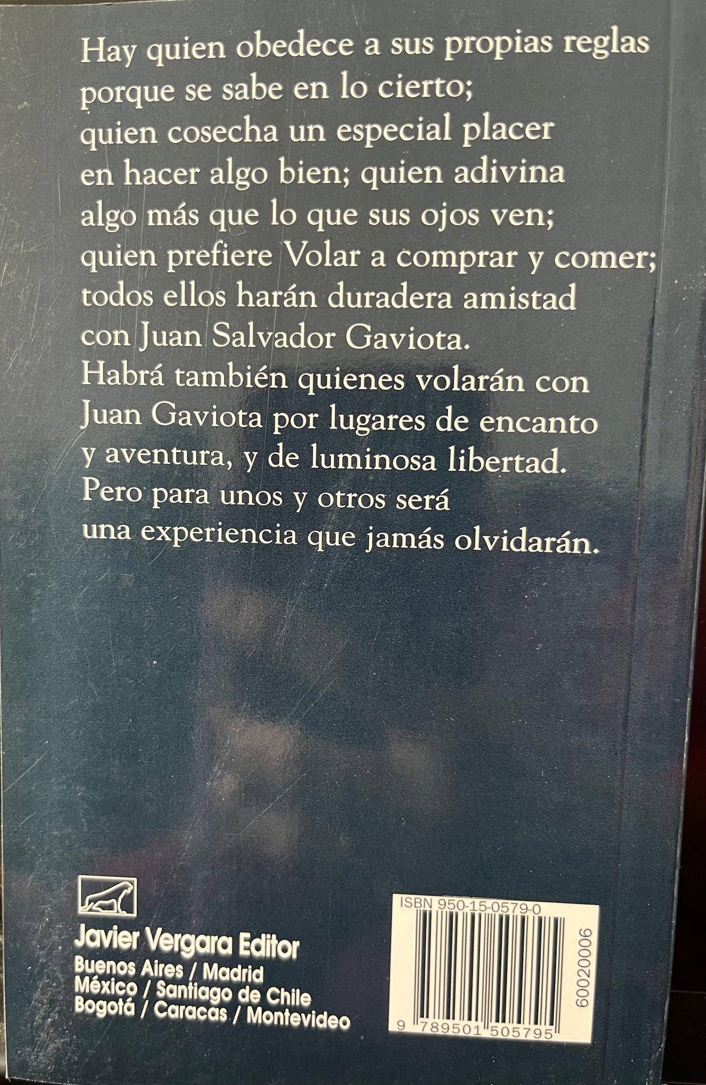 Juan Salvador Gaviota