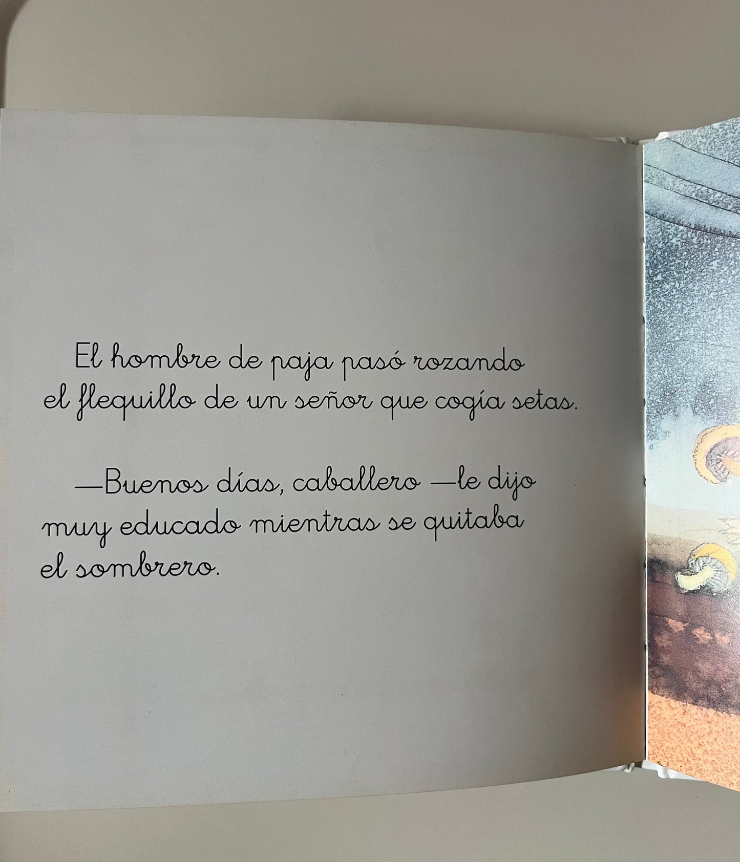 Espantapajaros Volador