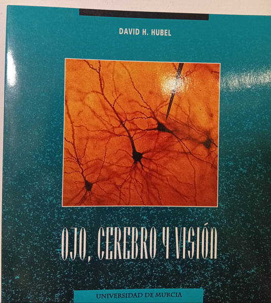 Ojo, cerebro y visión