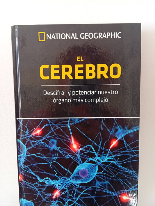 El cerebro