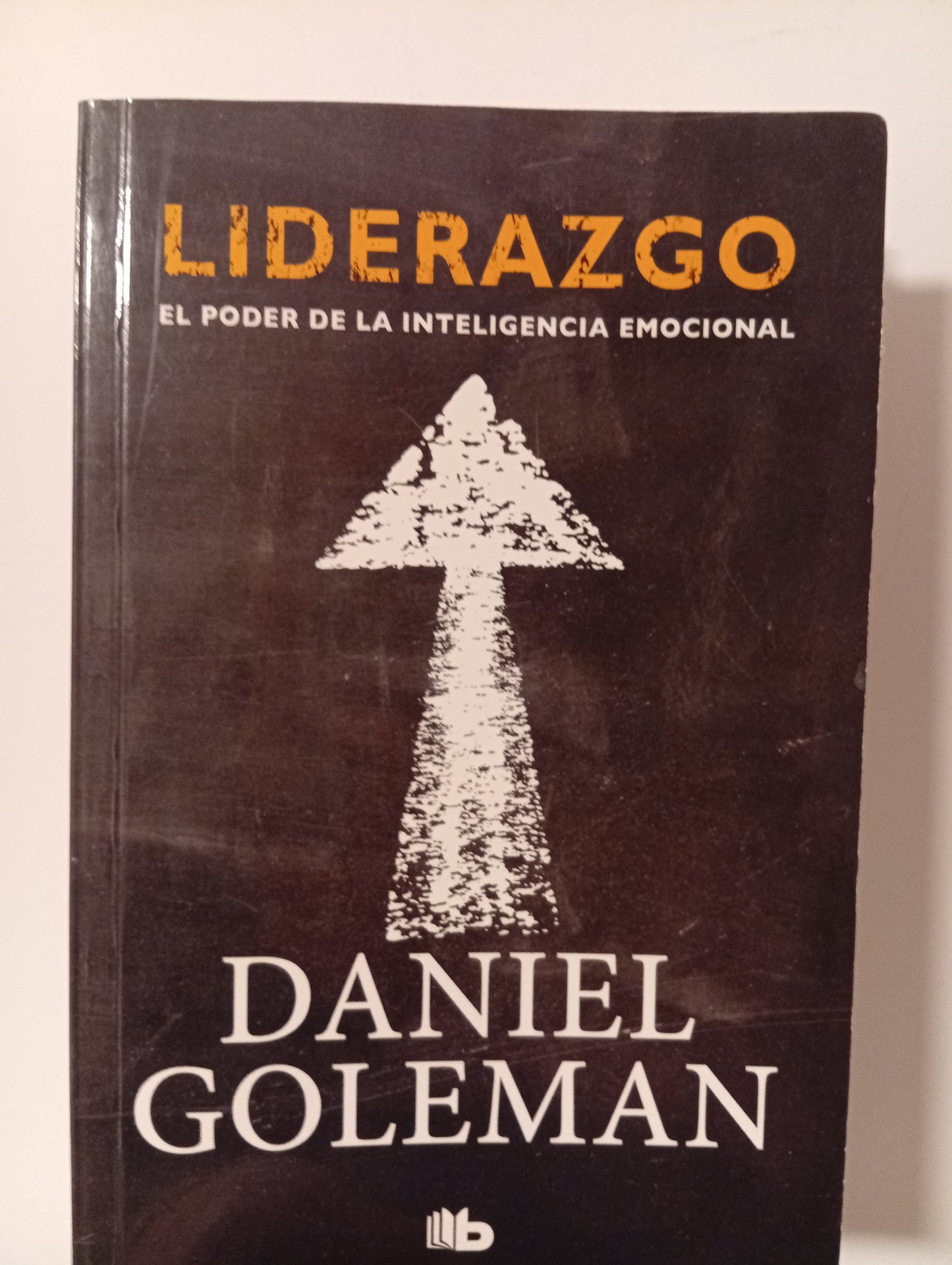 Liderazgo. El poder de la inteligencia emocional.