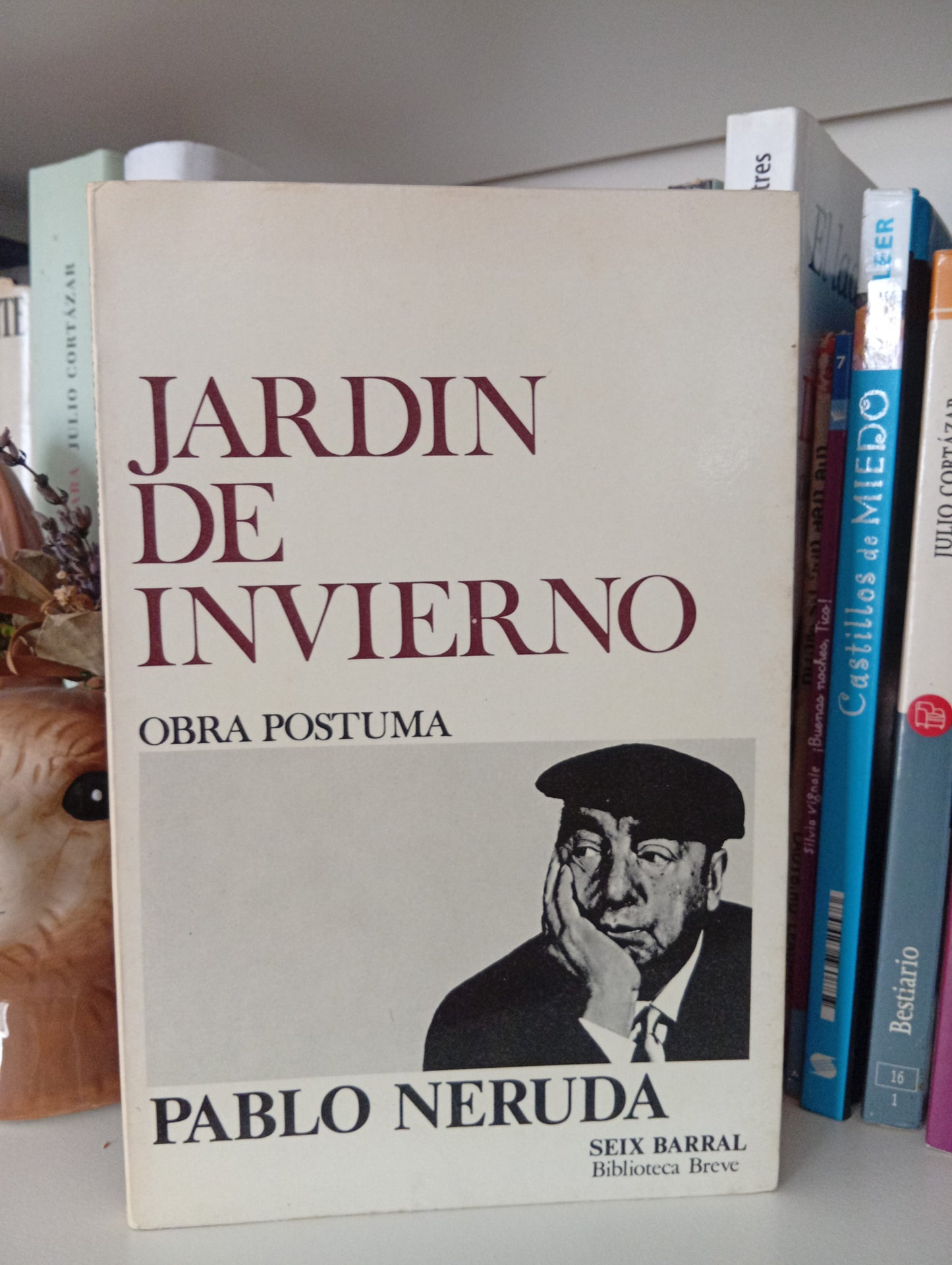 Jardín de invierno: Obra póstuma
