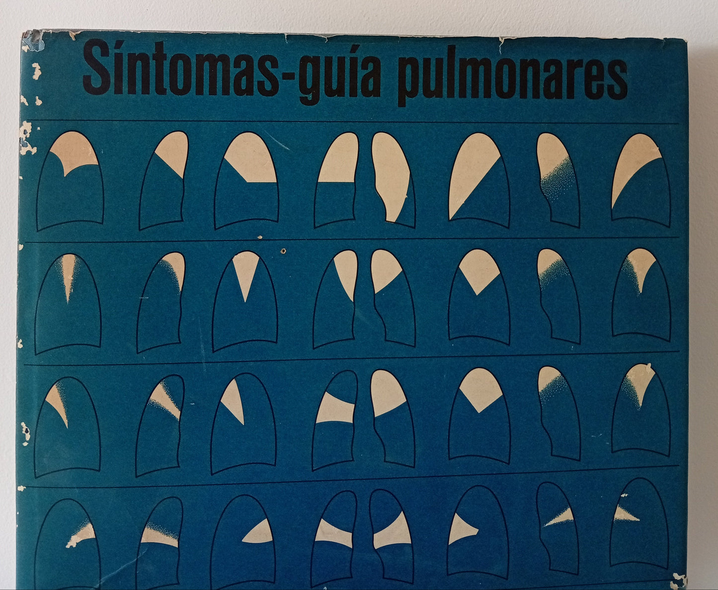 Síntomas-guía pulmonares