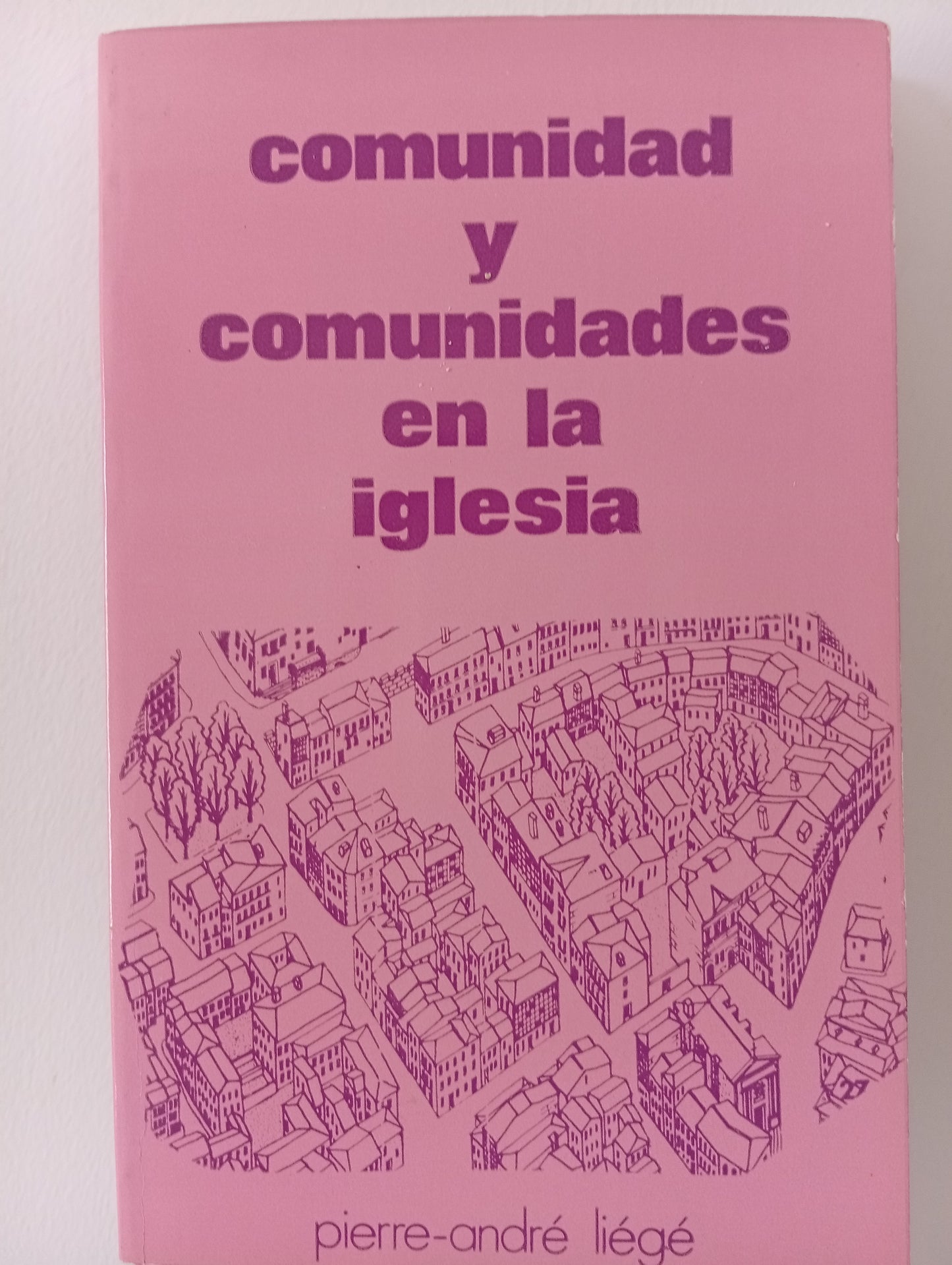 Comunidad y comunidades en la iglesia