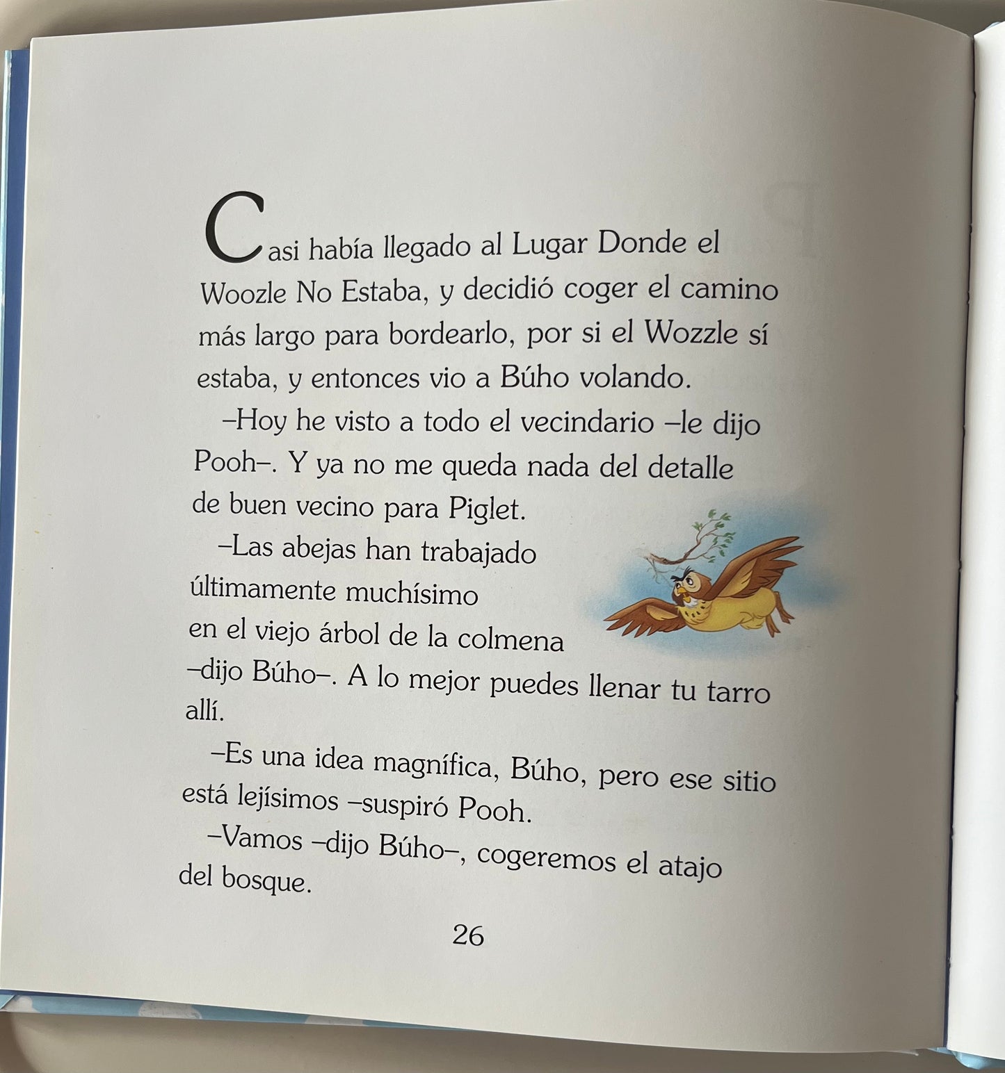 El barrio de Winnie the Pooh.