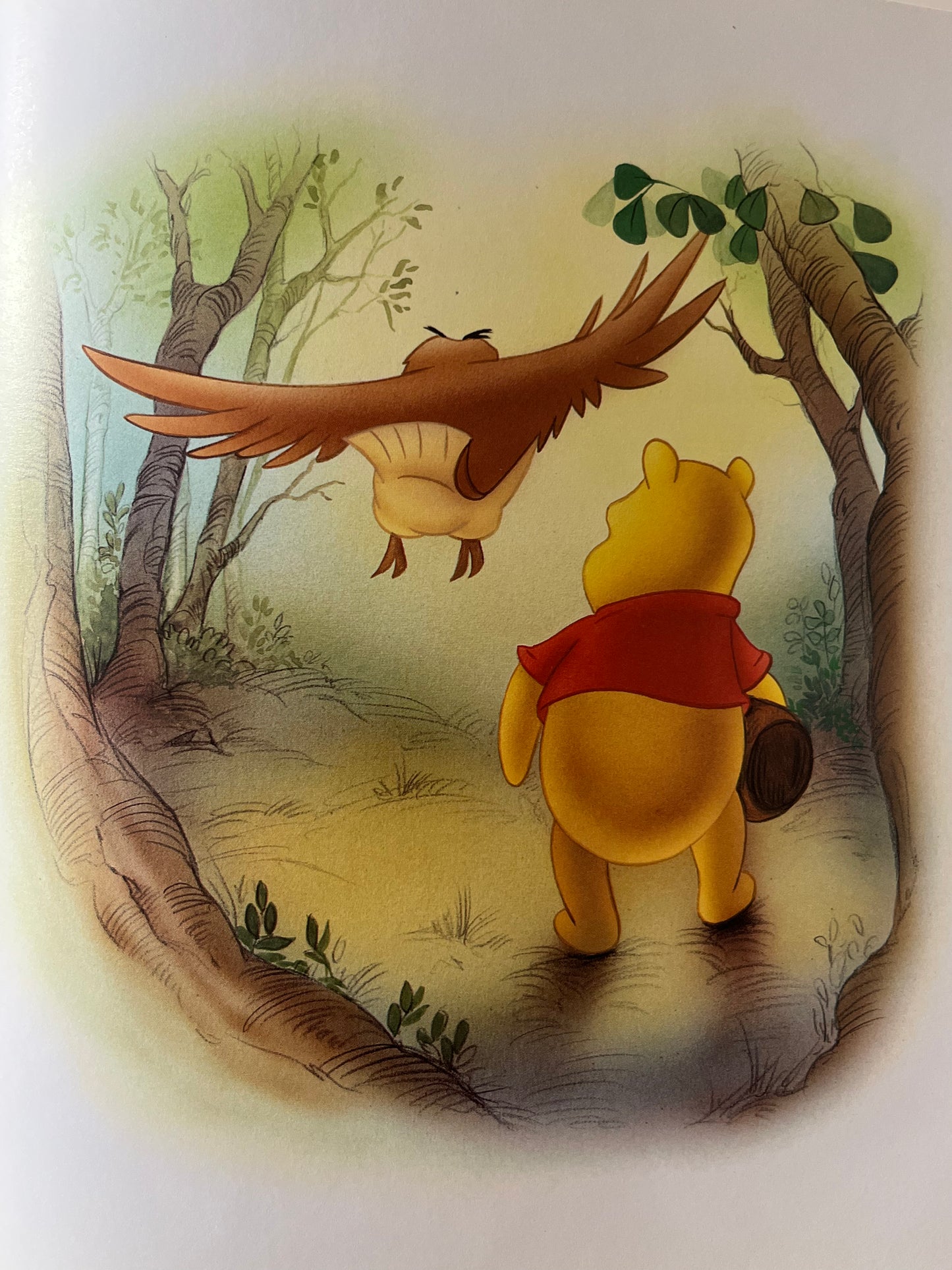 El barrio de Winnie the Pooh.